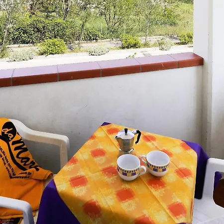 Elsa